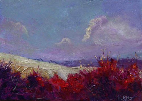 Lumière sur le champ - 16x22cm